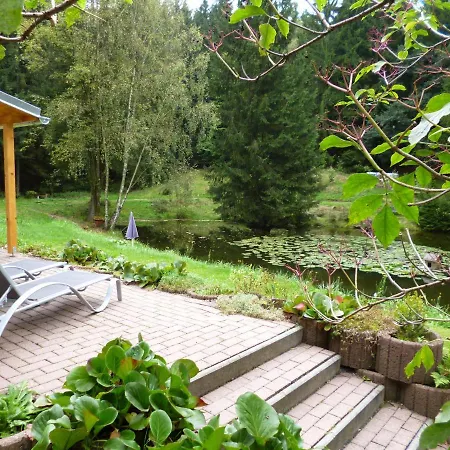 In Thuringia With Sauna Holiday home Finsterbergen