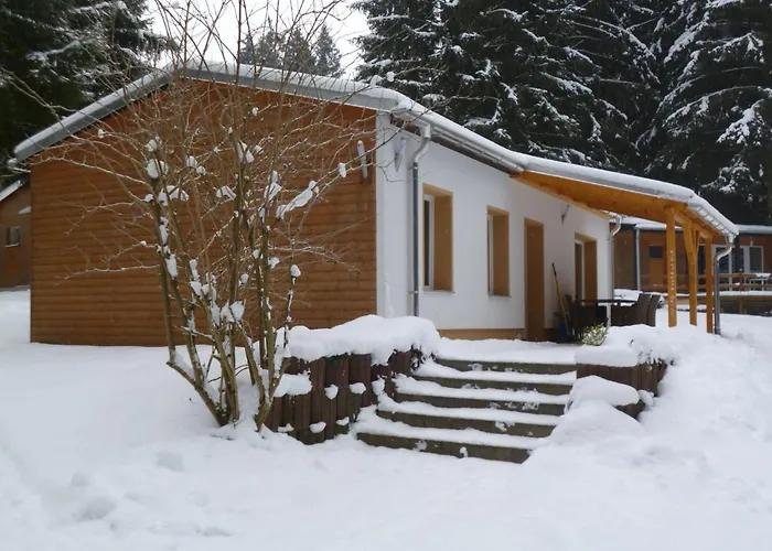 Tatil Evi In Thuringia With Sauna Finsterbergen
