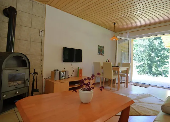 In Thuringia With Sauna Finsterbergen